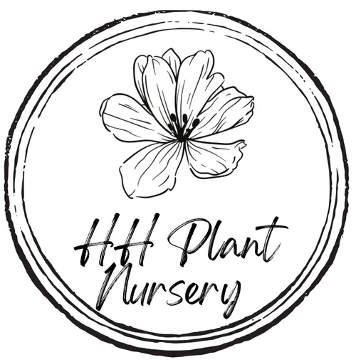 Hhplantnursery